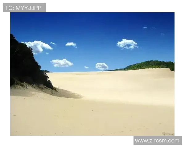 杭州极限运动队战术解析与对比深度剖析MBA