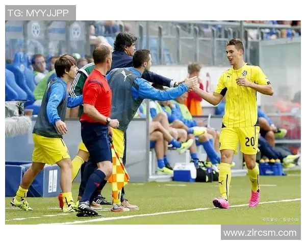 布兰与维京激战结果揭晓赛季走势分析与未来展望 布兰与维京激战结果揭晓赛季走势分析与未来展望